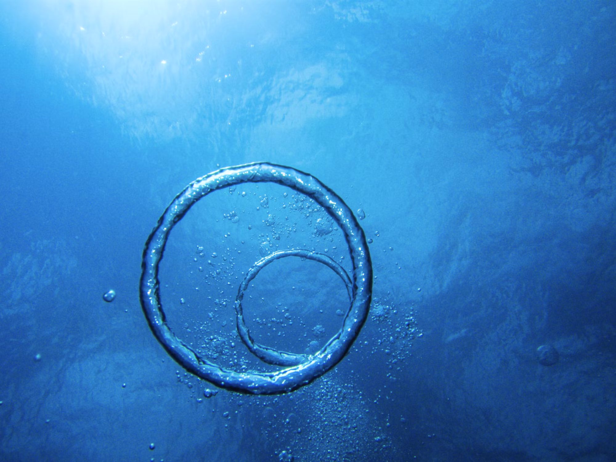Diving Into the Blue: An Exploration of Underwater Activities